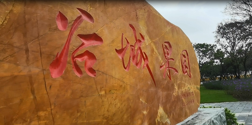 谷城礦業(yè)直播：走進(jìn)“谷城果園”！